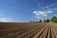 Еврокомиссия рекомендует Болгарии отменить запрет на продажу земли иностранцам